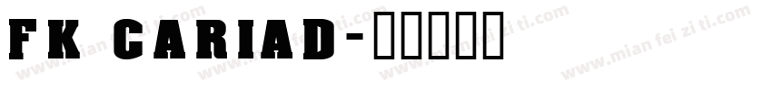 FK CARIAD字体转换